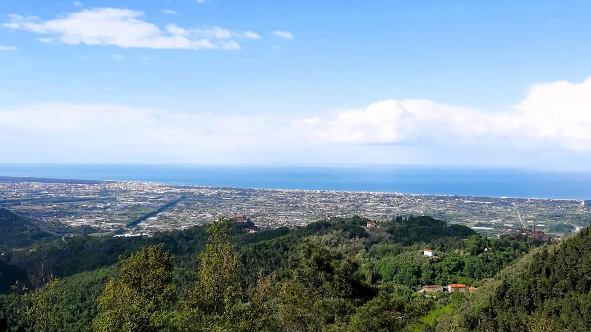 Apartment Villa Le Ginestre Camaiore