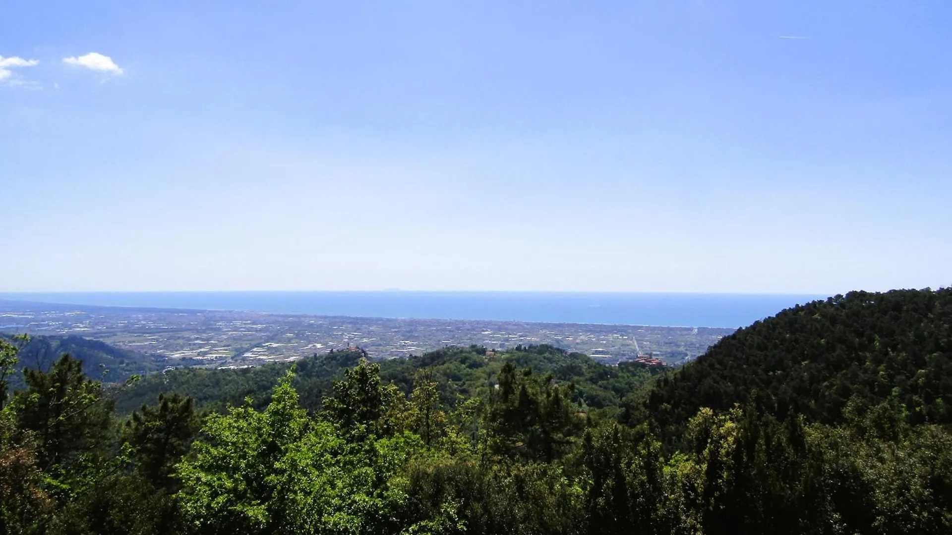 Apartment Villa Le Ginestre Camaiore Italy