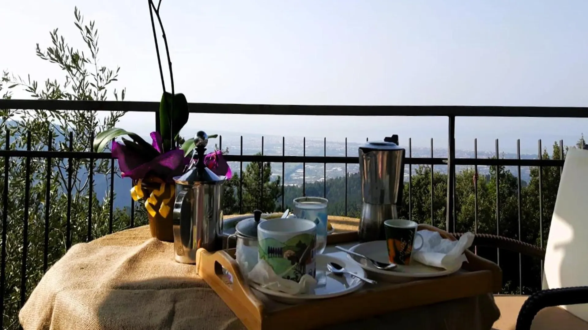 Villa Le Ginestre Camaiore 0*,  Italy