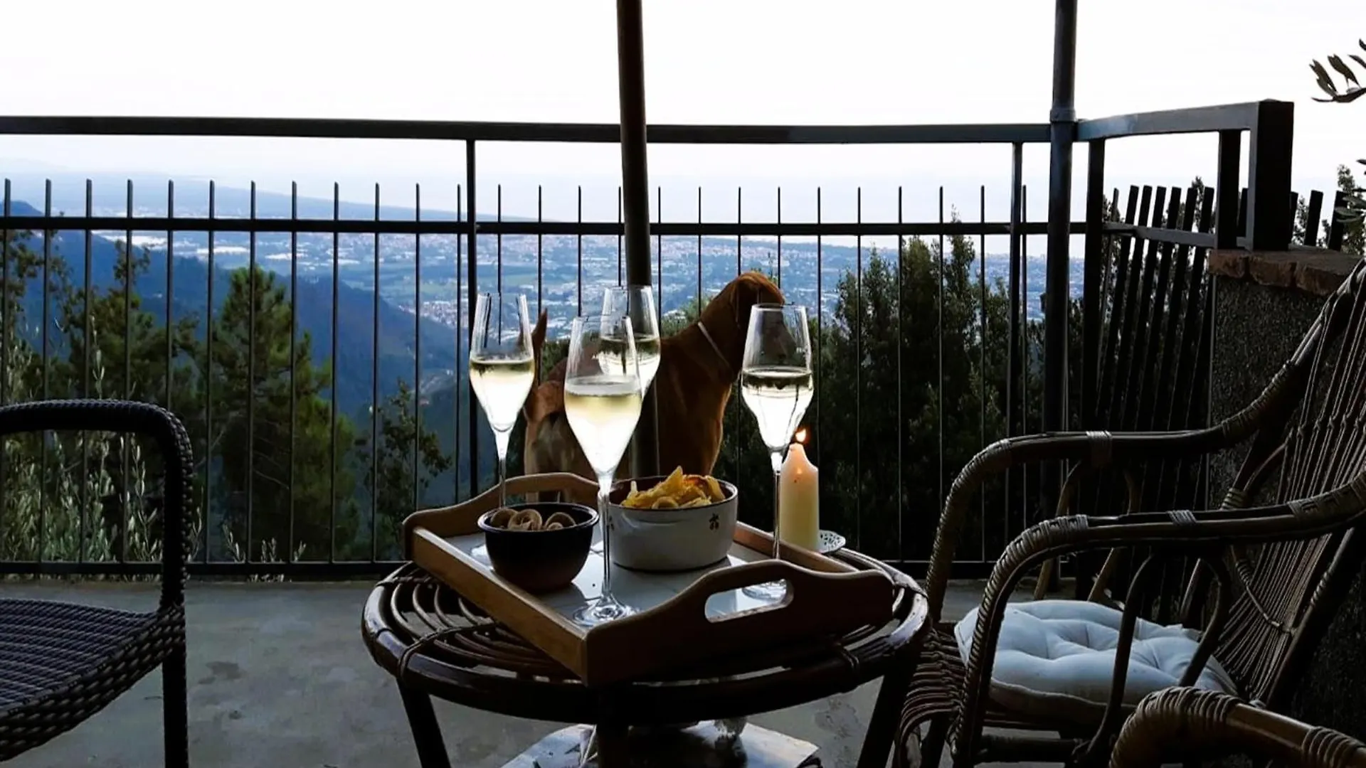 Villa Le Ginestre Camaiore