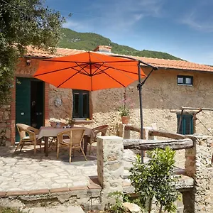 Casa Berti - Urlaub Im Olivenhain Camaiore